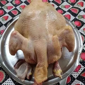 Doğal köy tavuğu  3-4 kg