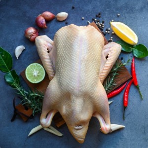 Pekin ördeği 